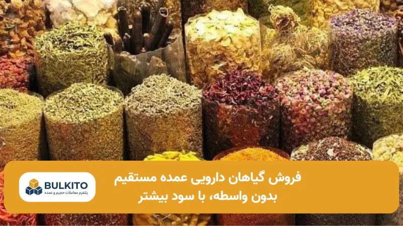 فروش گیاهان دارویی عمده مستقیم؛ راهنمای جامع حذف واسطه و افزایش سود