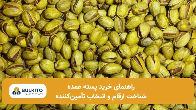 راهنمای خرید پسته عمده؛ از شناخت ارقام تا انتخاب تأمین‌کننده
