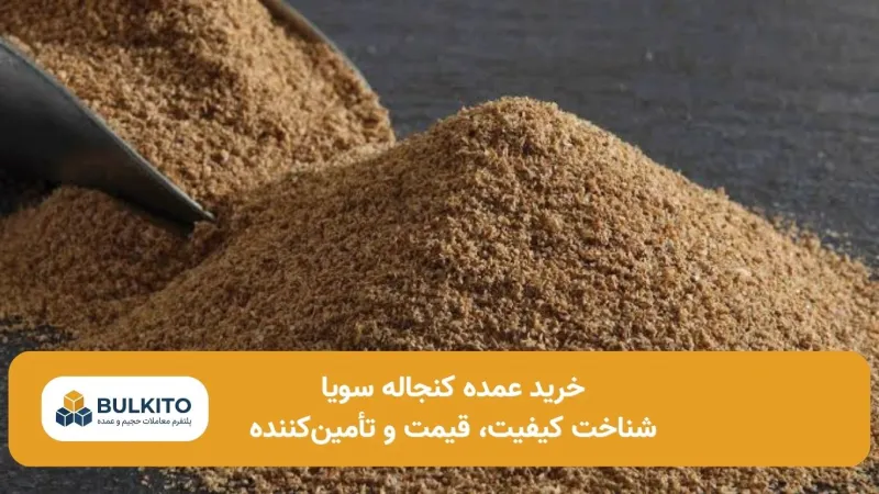 خرید عمده کنجاله سویا؛ راهنمای تخصصی کیفیت، قیمت و تأمین مطمئن