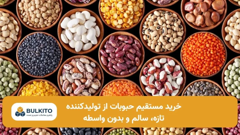خرید مستقیم حبوبات از تولیدکننده؛ راهنمای کامل بدون واسطه