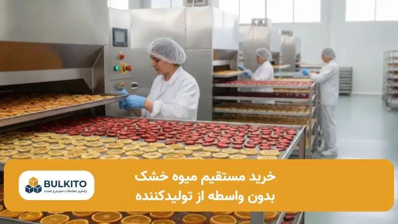 خرید مستقیم میوه خشک از تولیدکننده؛ راهنمای جامع بدون واسطه