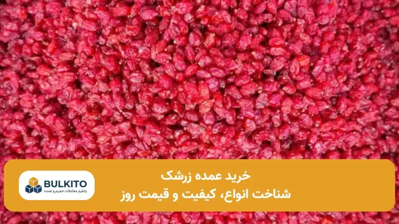 خرید عمده زرشک؛ راهنمای تخصصی شناخت انواع، کیفیت و قیمت