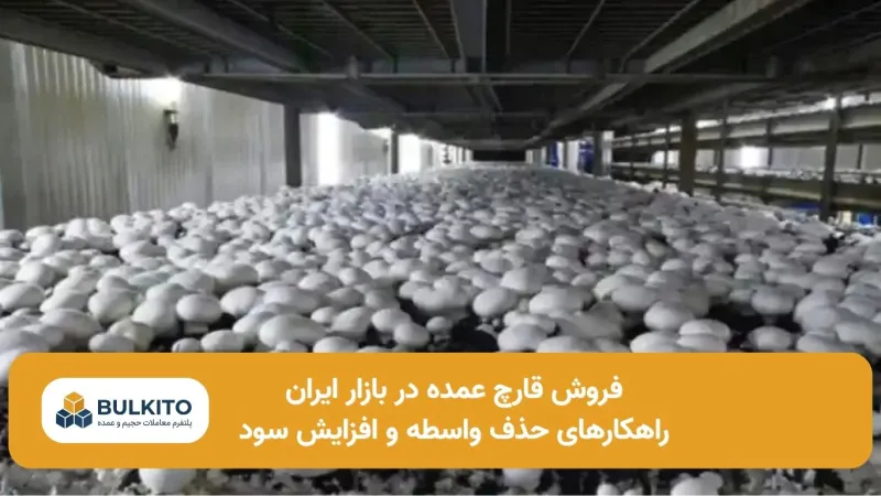 فروش قارچ عمده در بازار ایران؛ راهنمای جامع و تخصصی