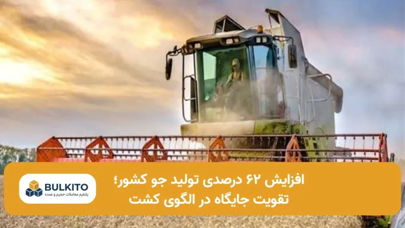 افزایش ۶۲ درصدی تولید جو کشور؛ تقویت جایگاه در الگوی کشت