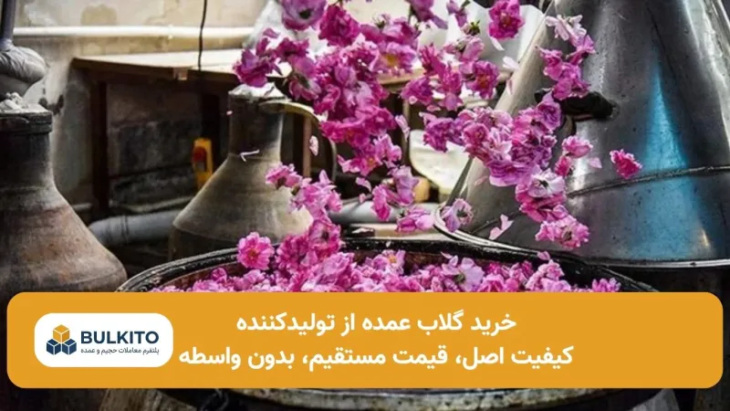 خرید گلاب عمده از تولیدکننده؛ راهنمای جامع و تخصصی