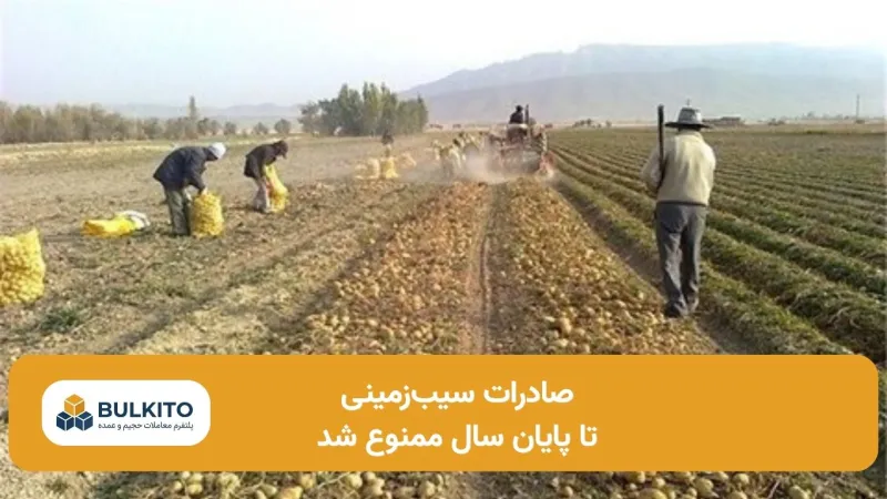 صادرات سیب‌زمینی تا پایان سال ممنوع شد