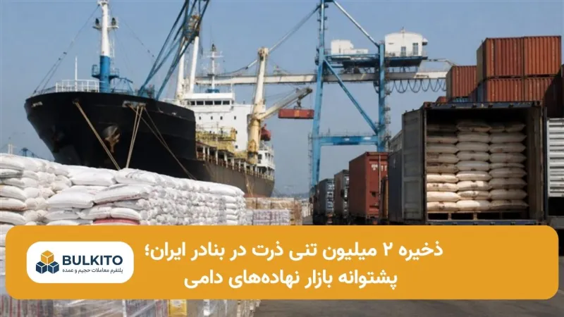 ذخیره ۲ میلیون تنی ذرت در بنادر ایران؛ پشتوانه بازار نهاده‌های دامی