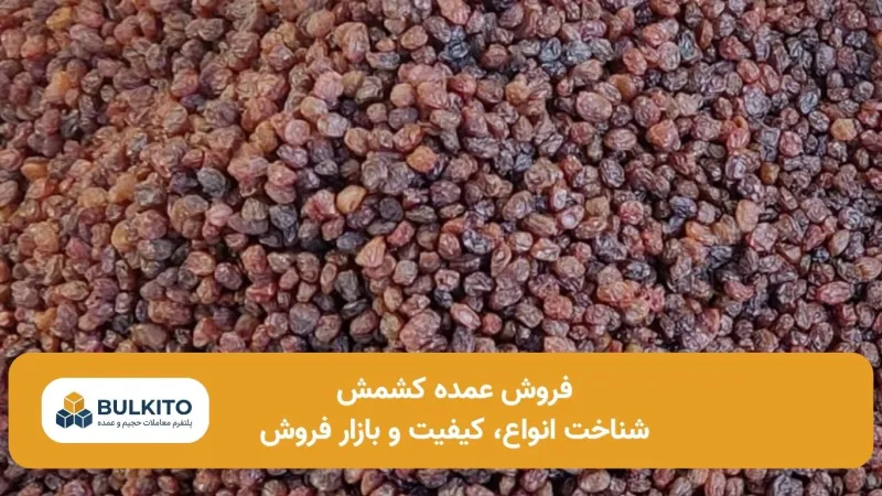 فروش عمده کشمش؛ راهنمای تخصصی بازار، کیفیت و حذف واسطه