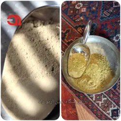 حنا برگ تازه برداشت‌ شده