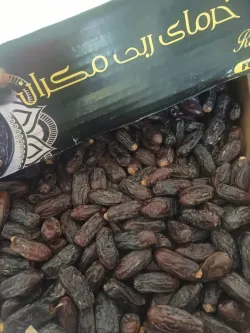 خرمای ربی بصورت عمده و جزئی 