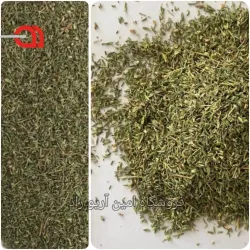 آویشن باغی خشک درجه یک