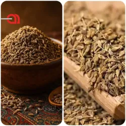 انیسون (بادیان رومی) عمده