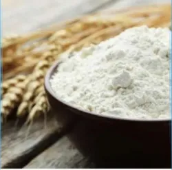 فروش عمده نشاسته گندم دامی