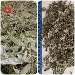 مریم گلی درجه 1 برگ و سرشاخه سورت‌شده