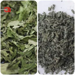 بادرنجبویه (برگ ملیس) بار درجه یک