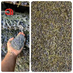 اسطوخودوس درجه یک با عطر عالی